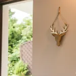 公寓 Auszeit-im-harz Haus 3 2 *