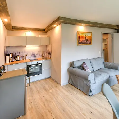 Apartmán Auszeit-im-harz Haus 3 2 Braunlage