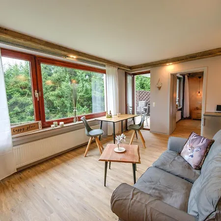 公寓 Auszeit-im-harz Haus 3 2 布劳恩拉格
