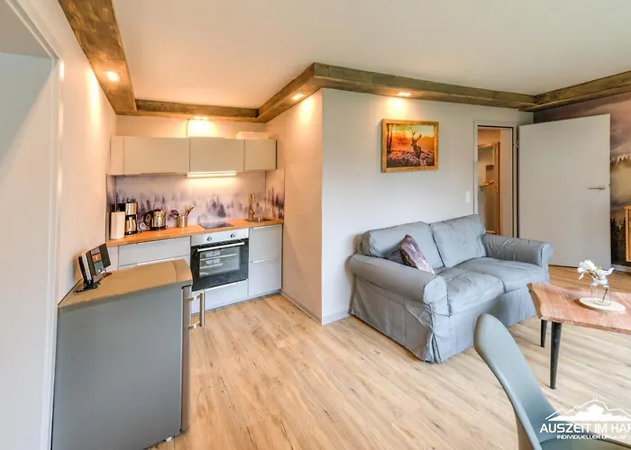 Appartement Auszeit-im-harz Haus 3 2 Braunlage