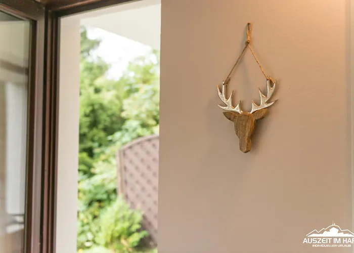 Appartement Auszeit-im-harz Haus 3 2 *