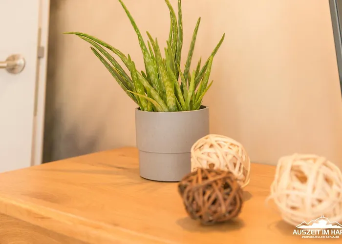 Auszeit-im-harz Haus 3 2 Appartement *